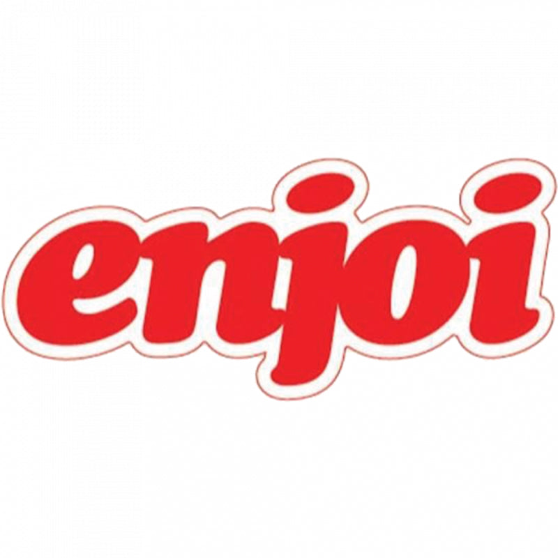 Enjoi Seventies Logo Sticker 5
