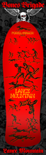 Load image into Gallery viewer, Bones Brigade Series #15
