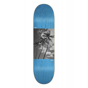 City Ordinance Saari 8.5"