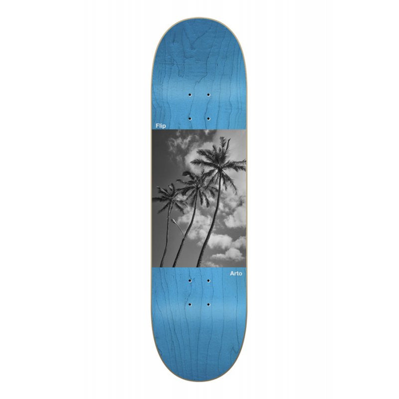City Ordinance Saari 8.5
