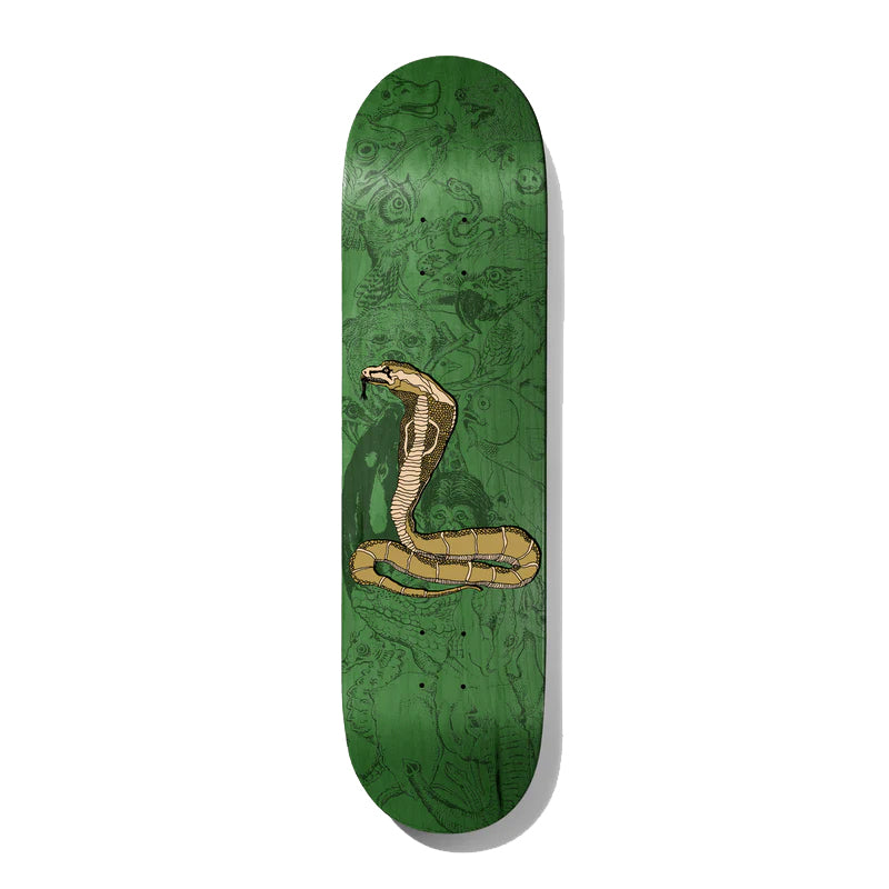 Theotis Piranhaconda Deck 8.25